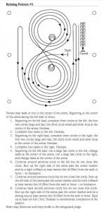 Pattern APHA Reining #5