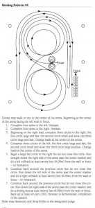 Pattern Reining #8