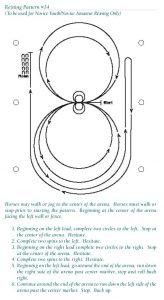 Pattern APHA Reining #14