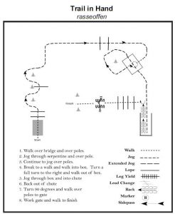 Pattern Trail in Hand RO